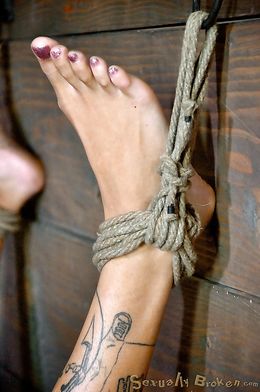 Perfect tattooed brunette likes hardcore oral sex