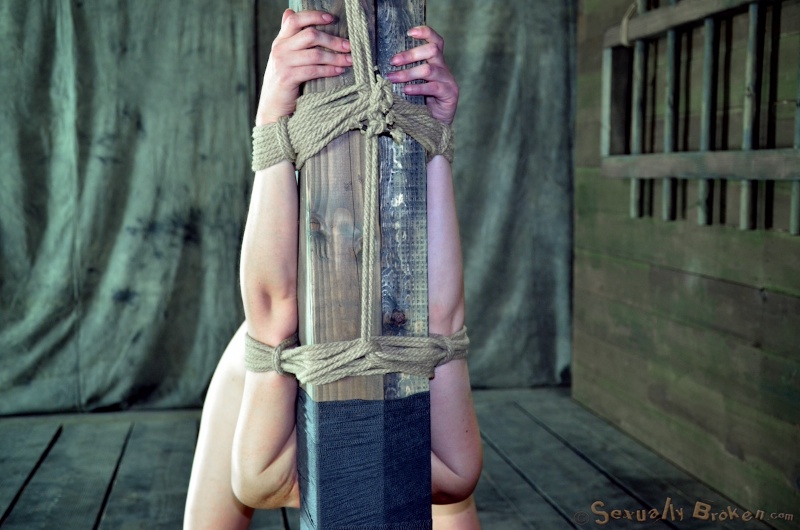 Young bitches tormented and raped while being bound