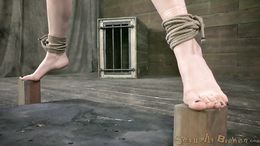 Sub whitey nicely sucks a massive sausage