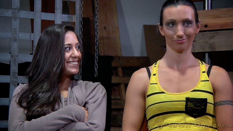 Two slender brunettes got used as sex objects