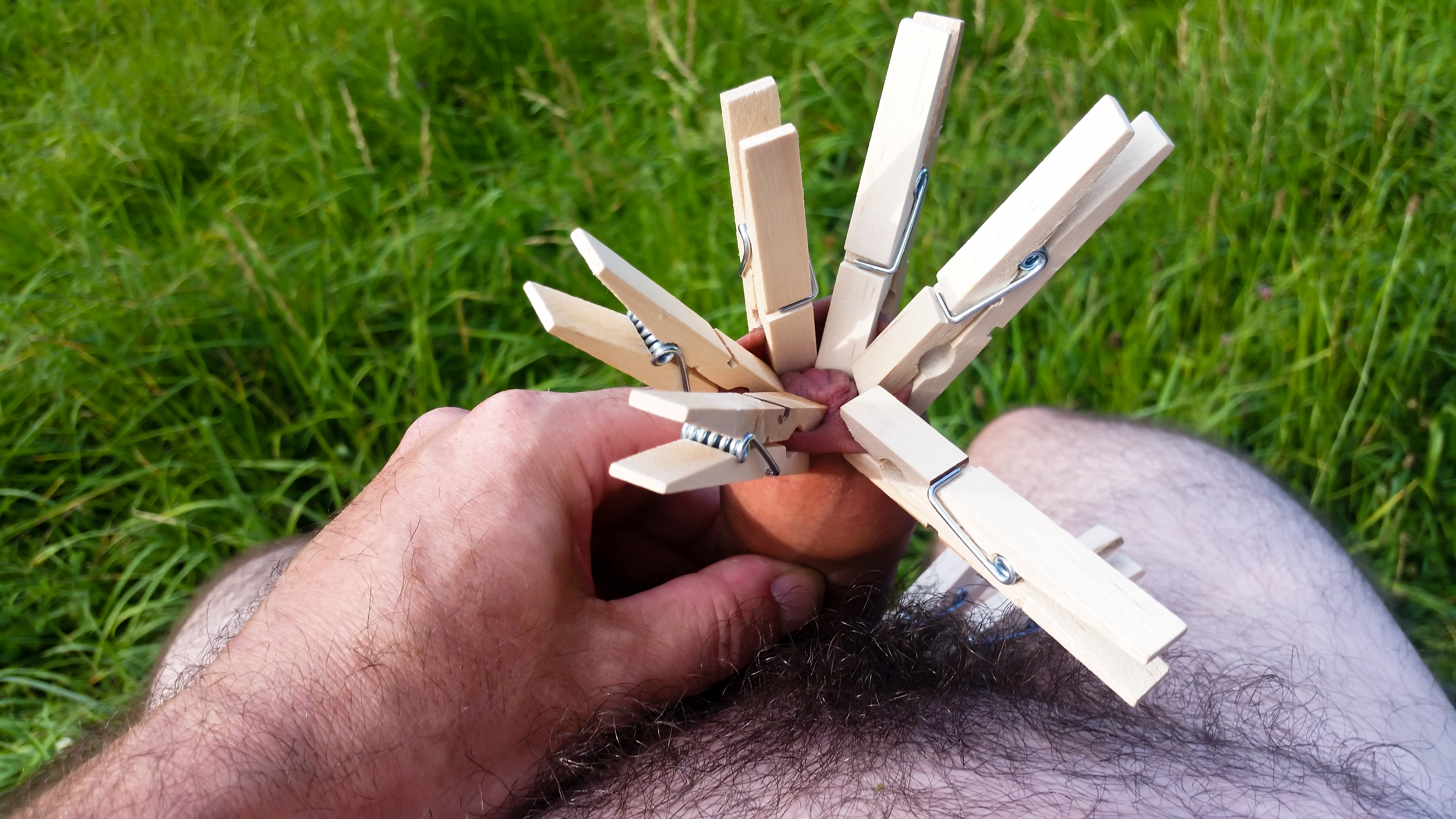 My foreskin with clothes pins